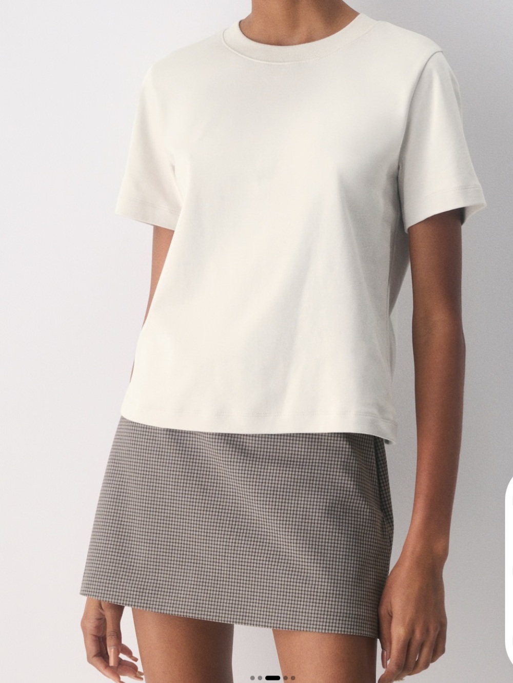 Aritzia Roundup Skort